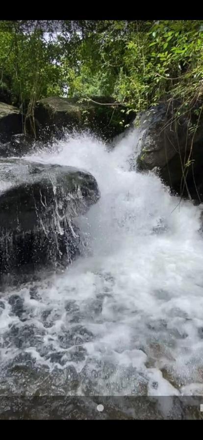 Earth Lounge Resort Vagamon Luaran gambar