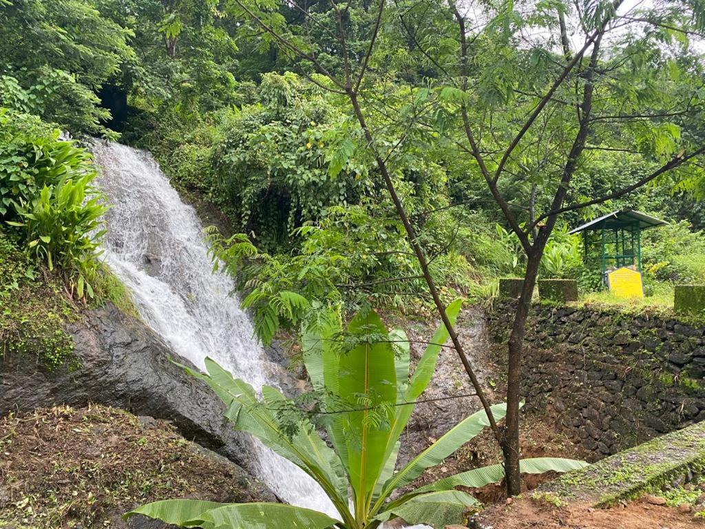 Earth Lounge Resort Vagamon Luaran gambar